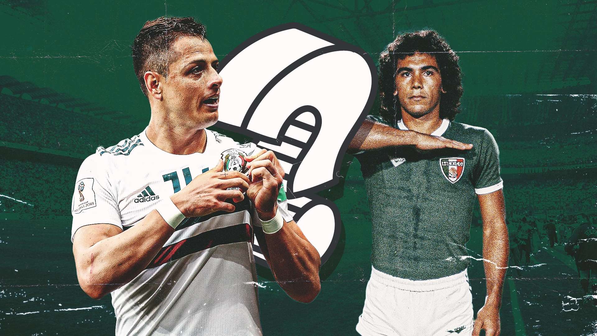 但在组织能 但在组织能